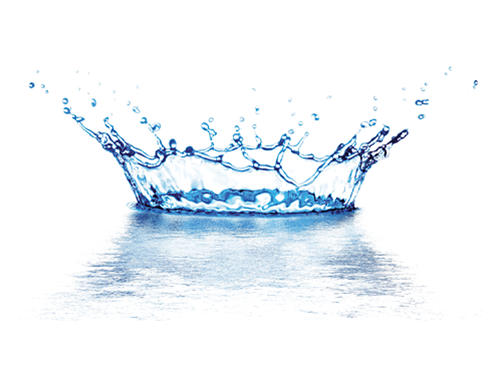 Descripción Imagen 1