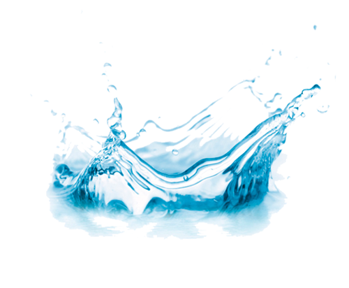 Descripción Imagen 2