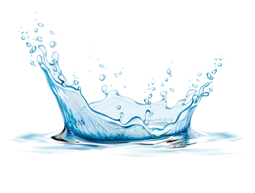 Descripción Imagen 3